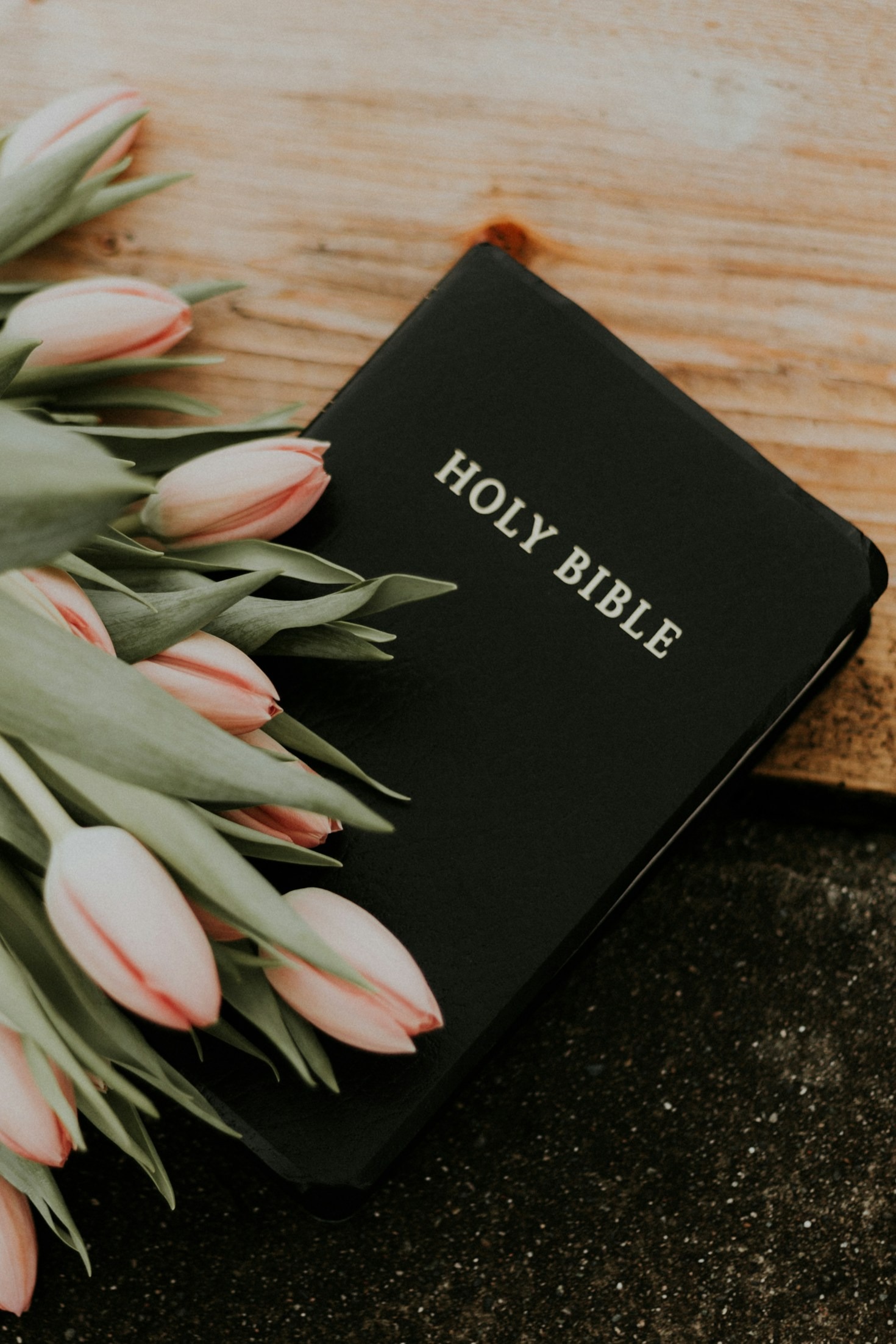 The Importance of Cultivating Kingdom Values
