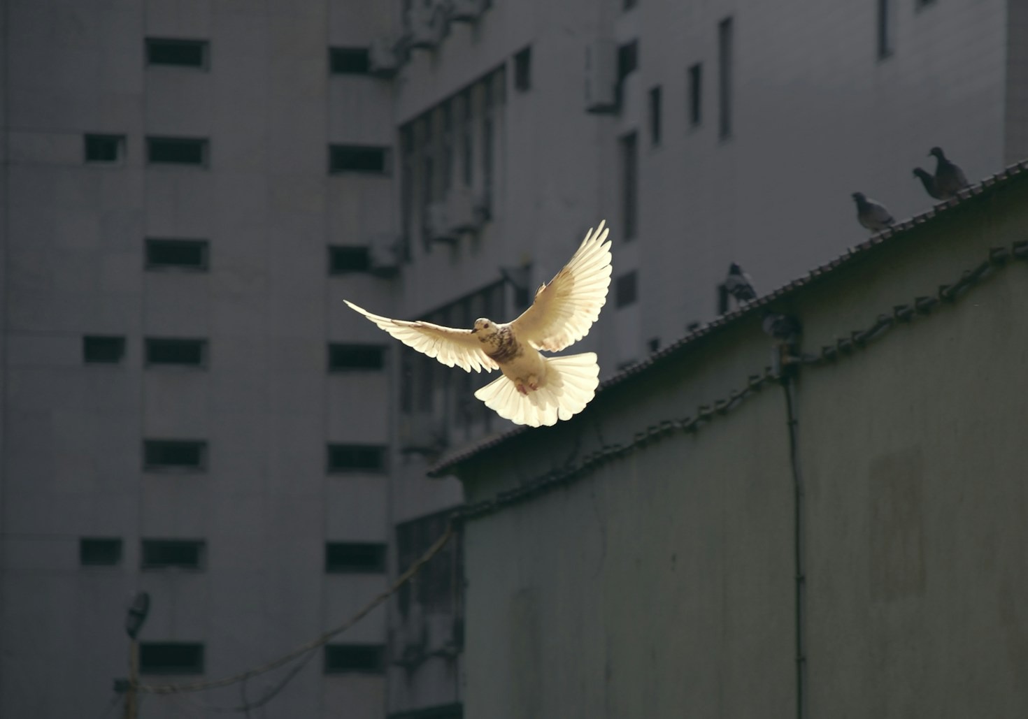 What It Means to Be Spirit-Filled Today