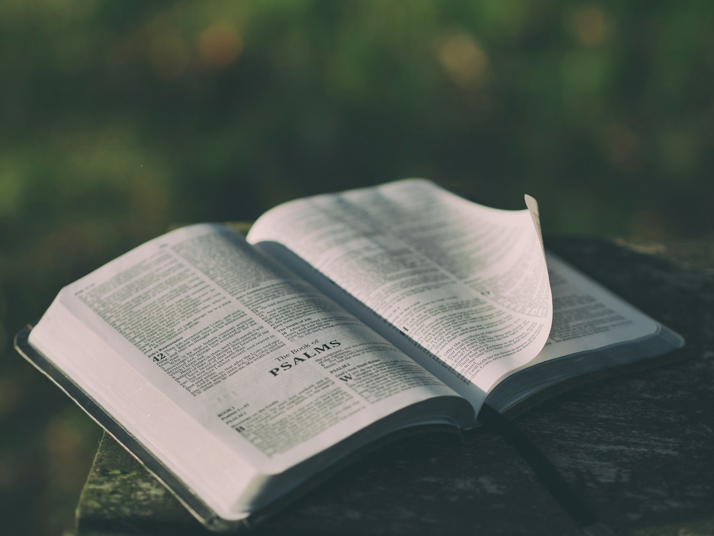 Living a Life of Purpose and Faith